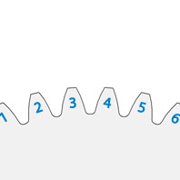 Number Of Teeth