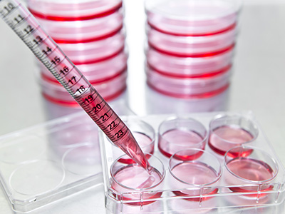 Life Sciences Life Sciences