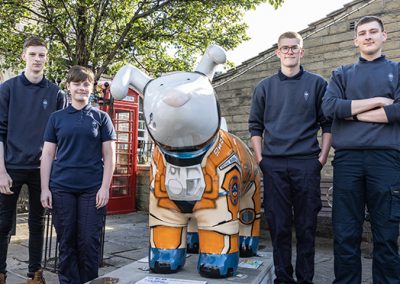 Reliance Sponsor Snowdog as part of Snowdogs Support Life, Kirklees Art Trail